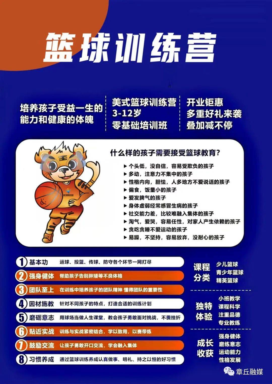包含青少年篮球政策持续优化，青训基地数量激增的词条