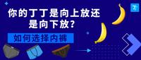 包含球场内幕：幕后策划与比赛准备的鲜为人知的词条