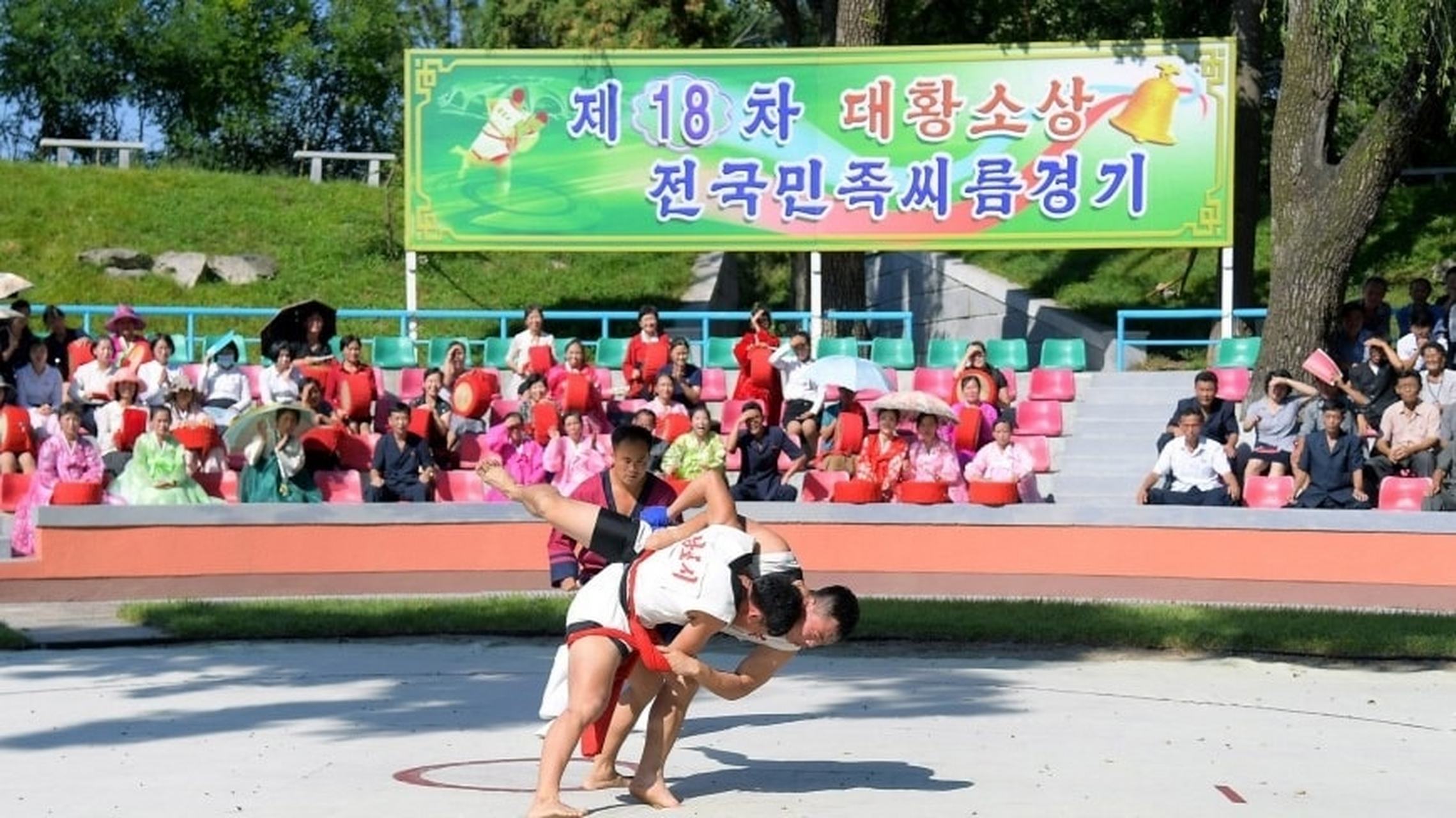 传统民族摔跤比赛，激情对决彰显民族特色的简单介绍
