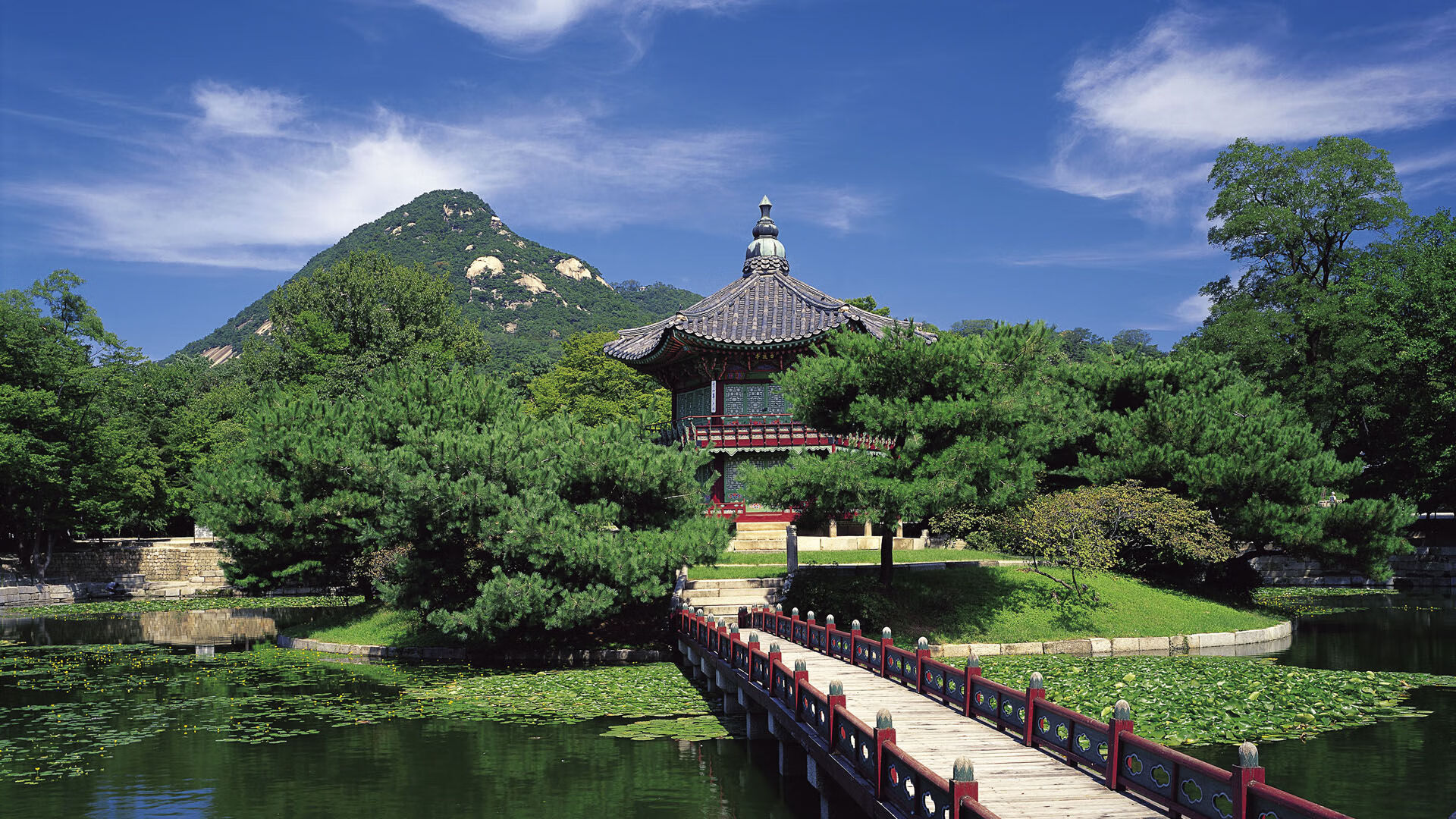 九游体育直播-Aster团队配合日益默契，astro团队