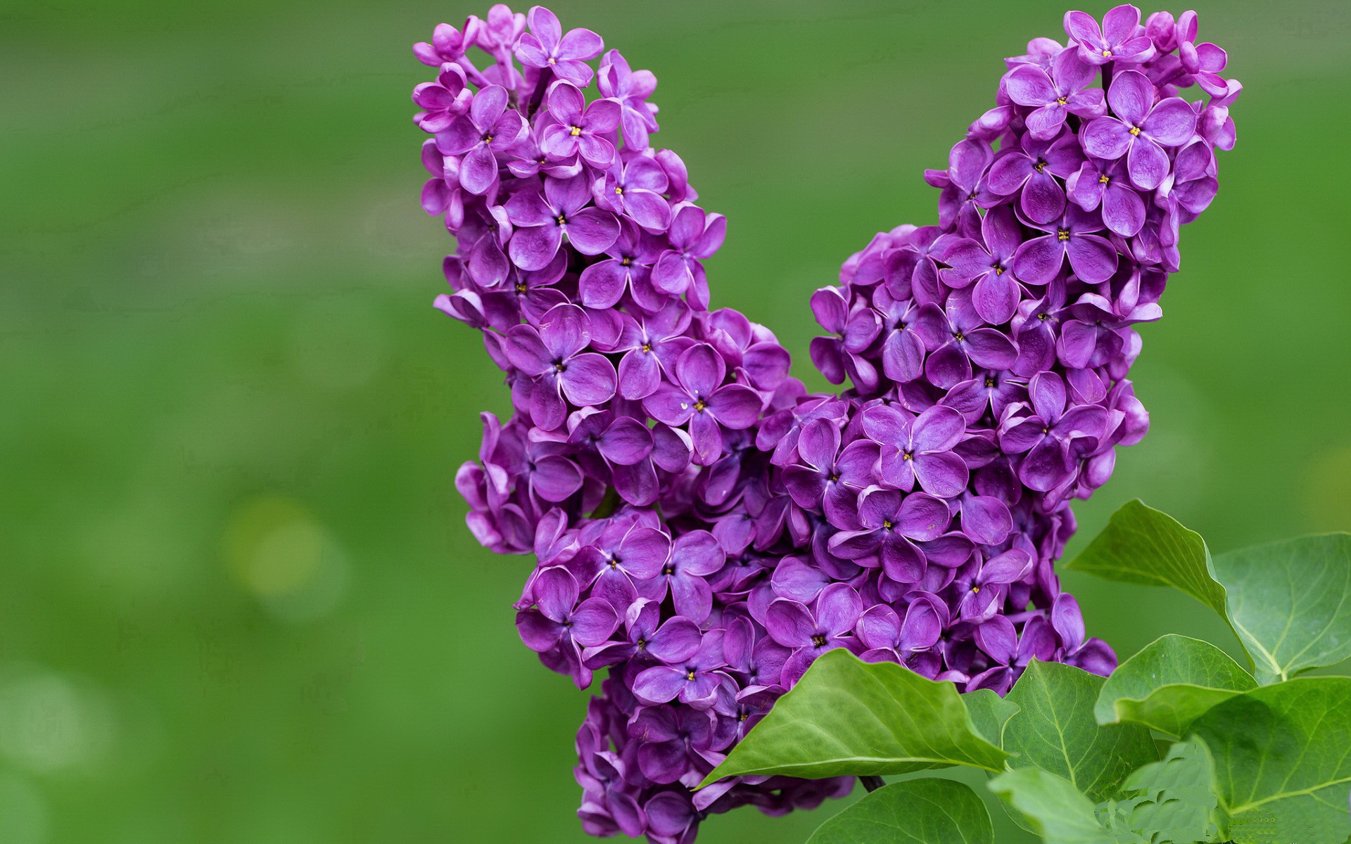 青少年足球国际邀请赛成为交流新窗口拓展视野，2020青少年足球邀请赛