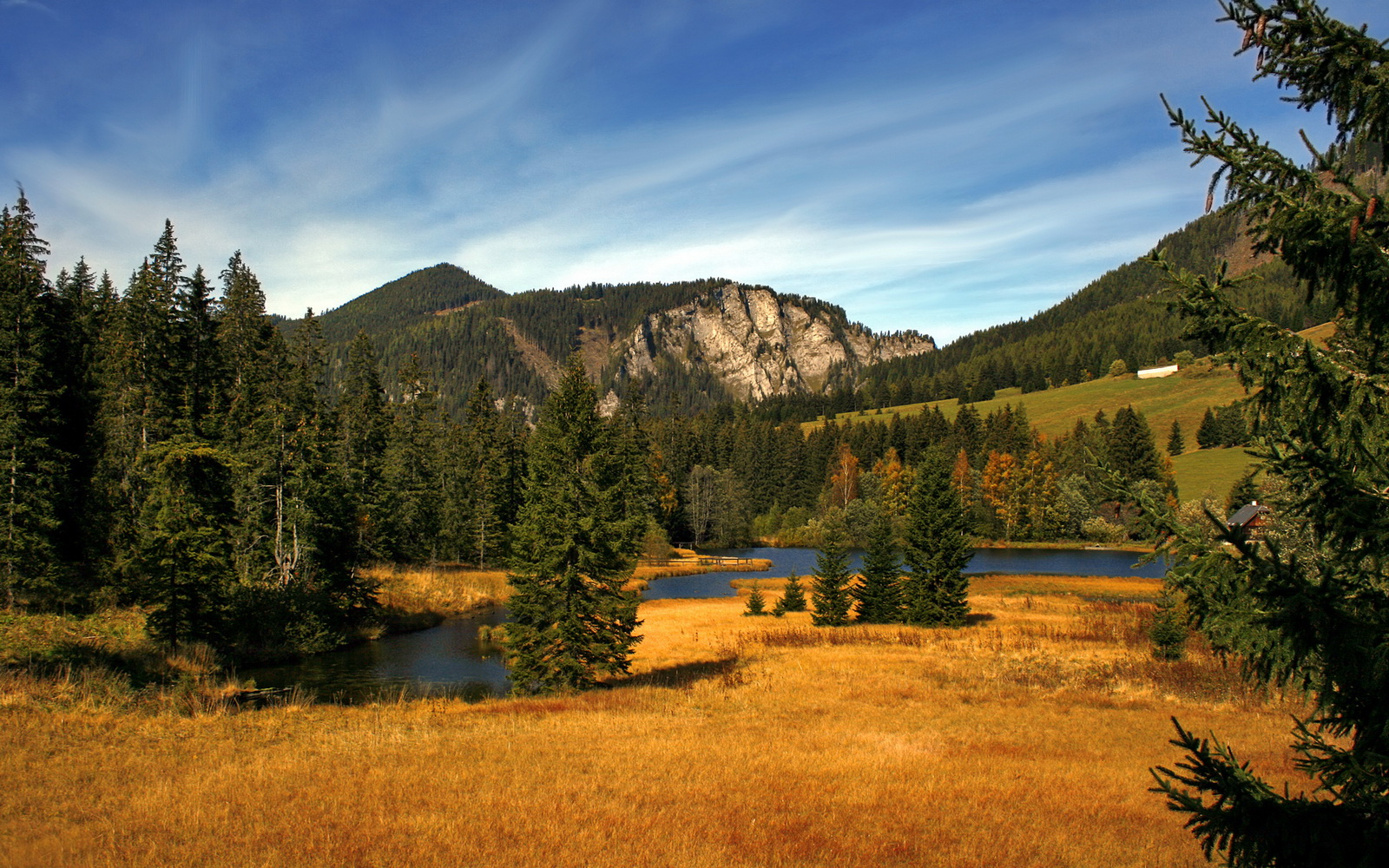 九游体育app-青少年篮球夏令营举办讲座课程融合发展素质教育与竞技，青少年篮球训练课程